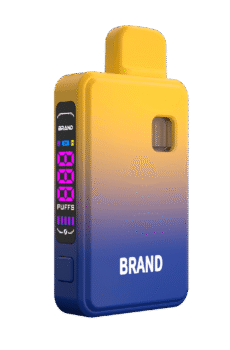 Box Vape 2 ml Rainbow OEM ODM Disposable Vape Device Factory