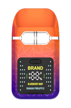 Smart Vape Dual Tanks Screen Display Disposable Vape Hardware (2)