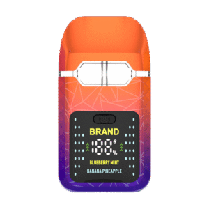 Smart Vape Dual Tanks Screen Display Disposable Vape Hardware (2)