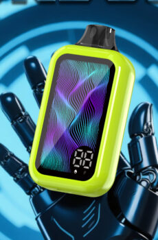 BK 50000 Puffs Disposable Vape Smart Vape China Factory OEM (1)