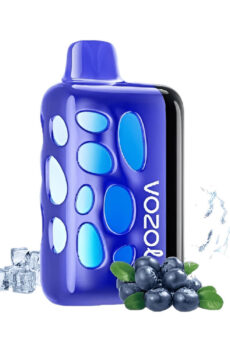Disposable Vape Vozol Rave 40K China Smart Vape Manufacturer (1)