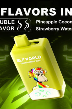 Elfworld Tornado 60000 Puffs Disposable Vape Pen Manufacturer (1)