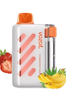 VISTA 40000 Puffs Disposable Vape Vozol OEM Vape China Factory (1)