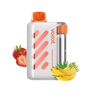 VISTA 40000 Puffs Disposable Vape Vozol OEM Vape China Factory (1)