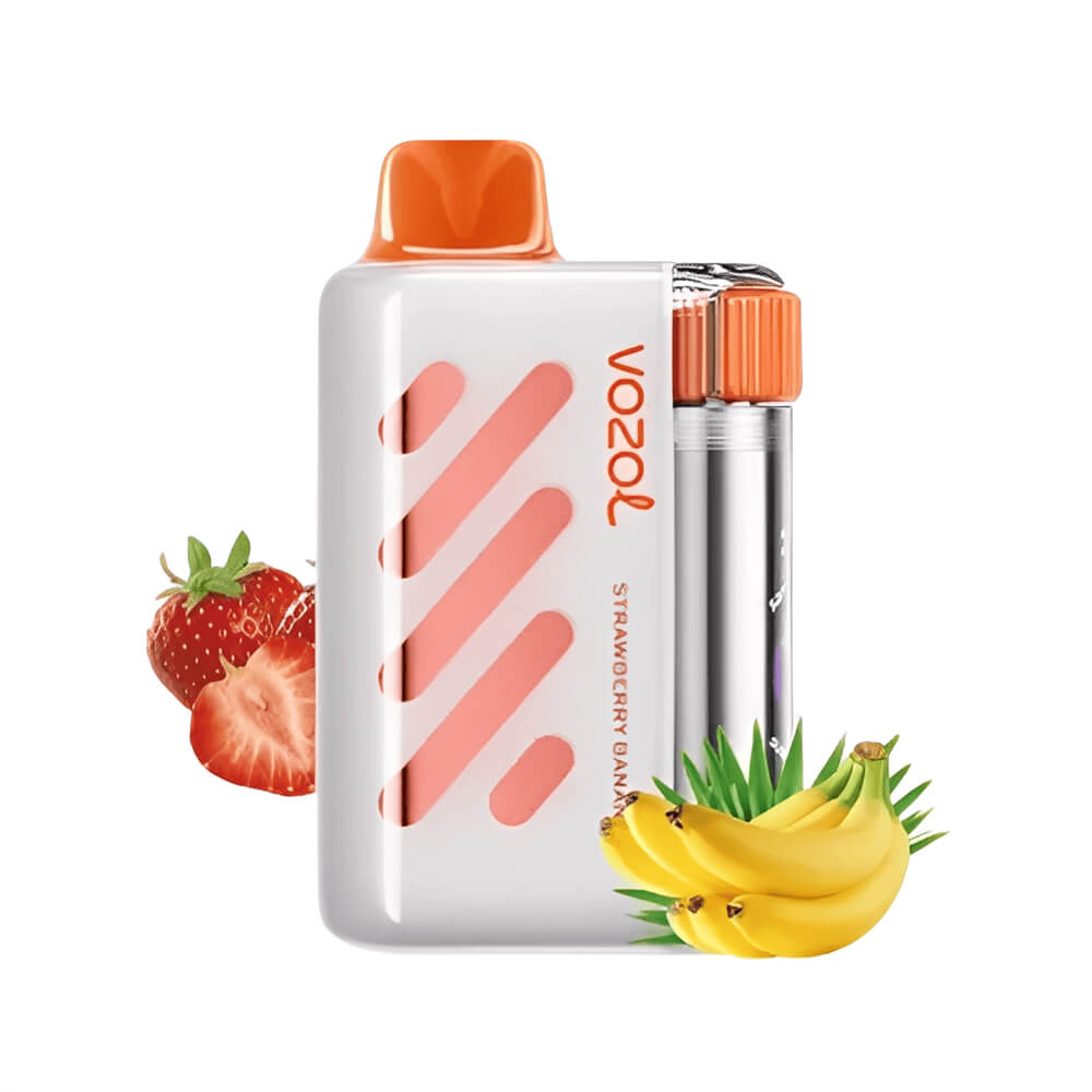 VISTA 40000 Puffs Disposable Vape Vozol OEM Vape China Factory (1)