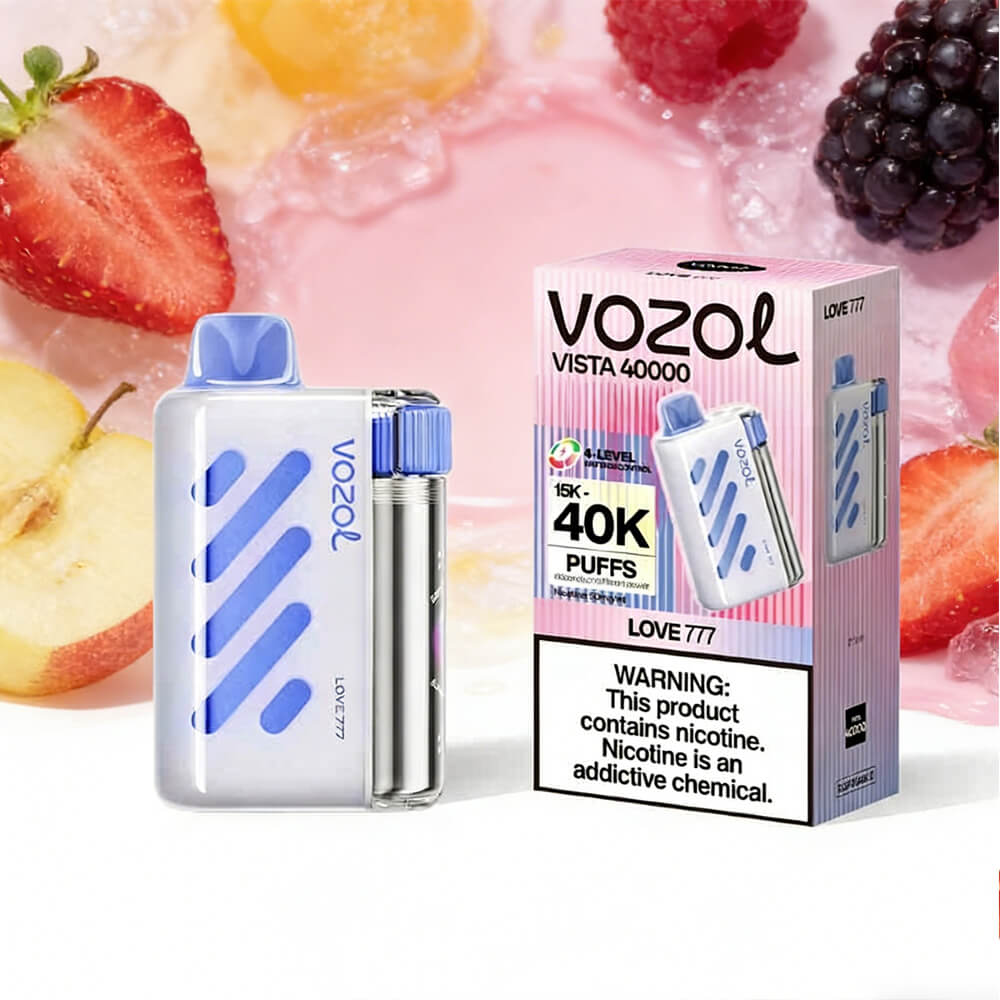VISTA 40000 Puffs Disposable Vape Vozol OEM Vape China Factory (2)