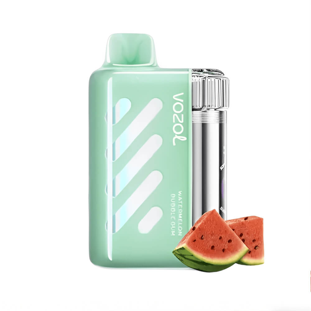 VISTA 40000 Puffs Disposable Vape Vozol OEM Vape China Factory (3)