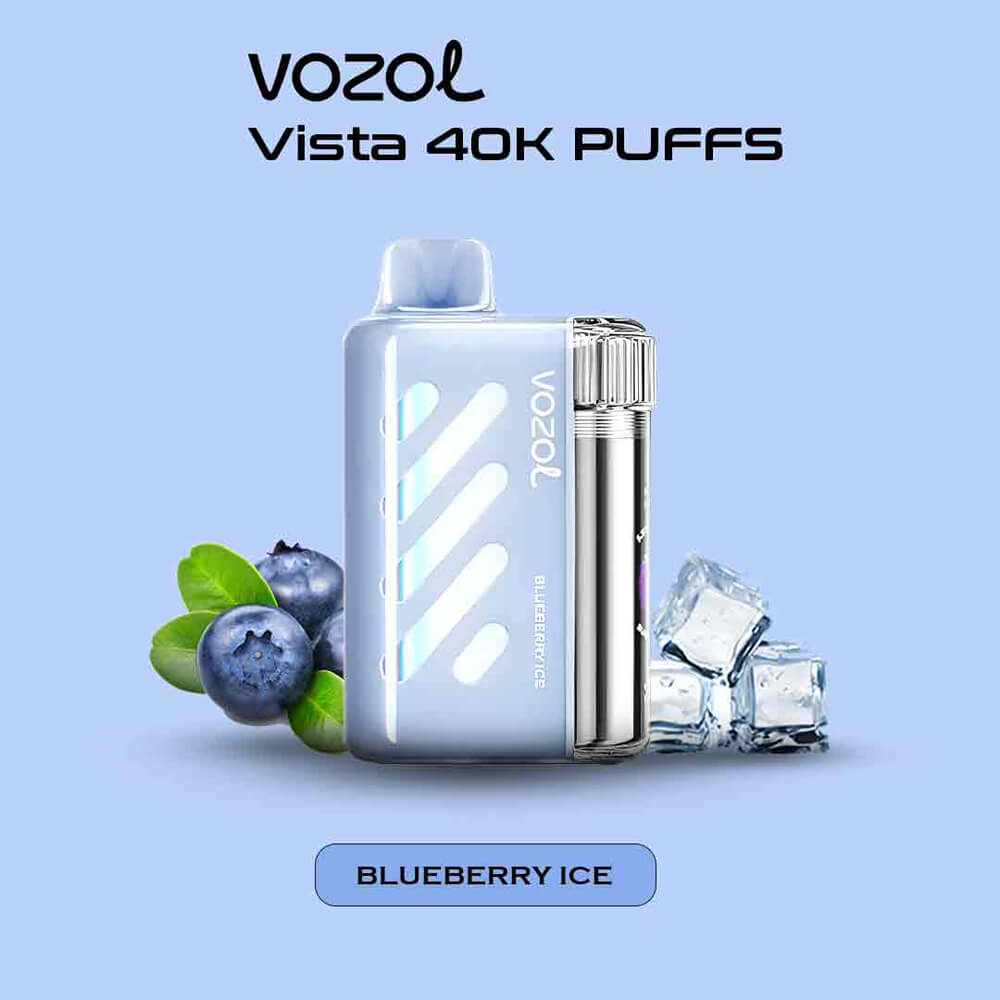 VISTA 40000 Puffs Disposable Vape Vozol OEM Vape China Factory (4)