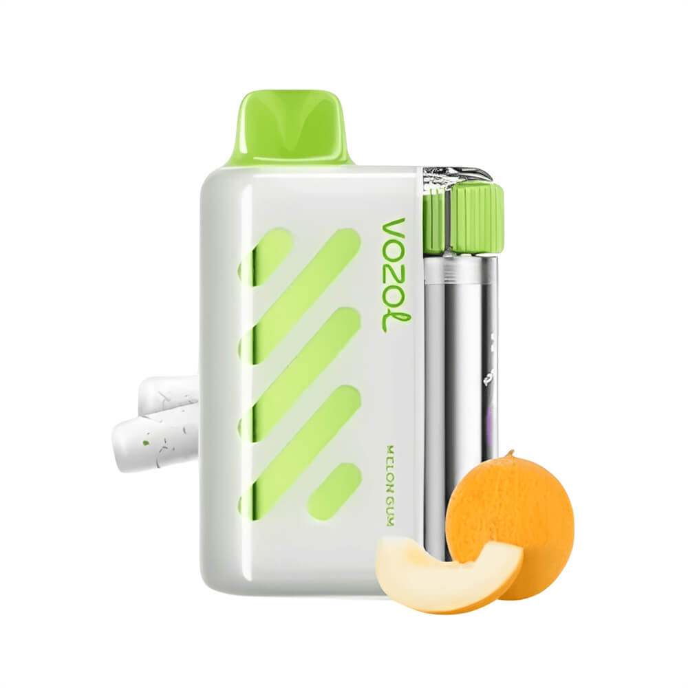 VISTA 40000 Puffs Disposable Vape Vozol OEM Vape China Factory (5)