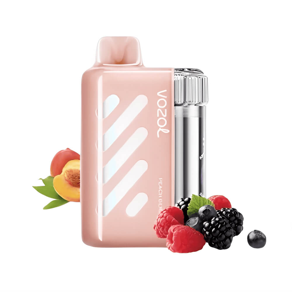 VISTA 40000 Puffs Disposable Vape Vozol OEM Vape China Factory (7)