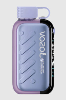 Vozol Gear Ice&Sweet 50000 Puffs Disposable Vape Manufacturer