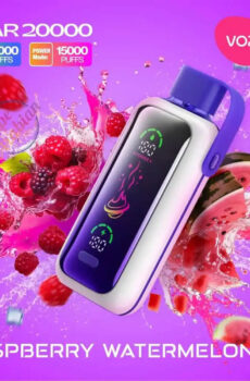 Vozol Star 20K Disposable Vape Pen Smart Screen Dual Modes (1)