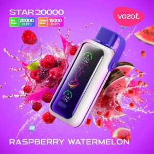 Vozol Star 20K Disposable Vape Pen Smart Screen Dual Modes (1)