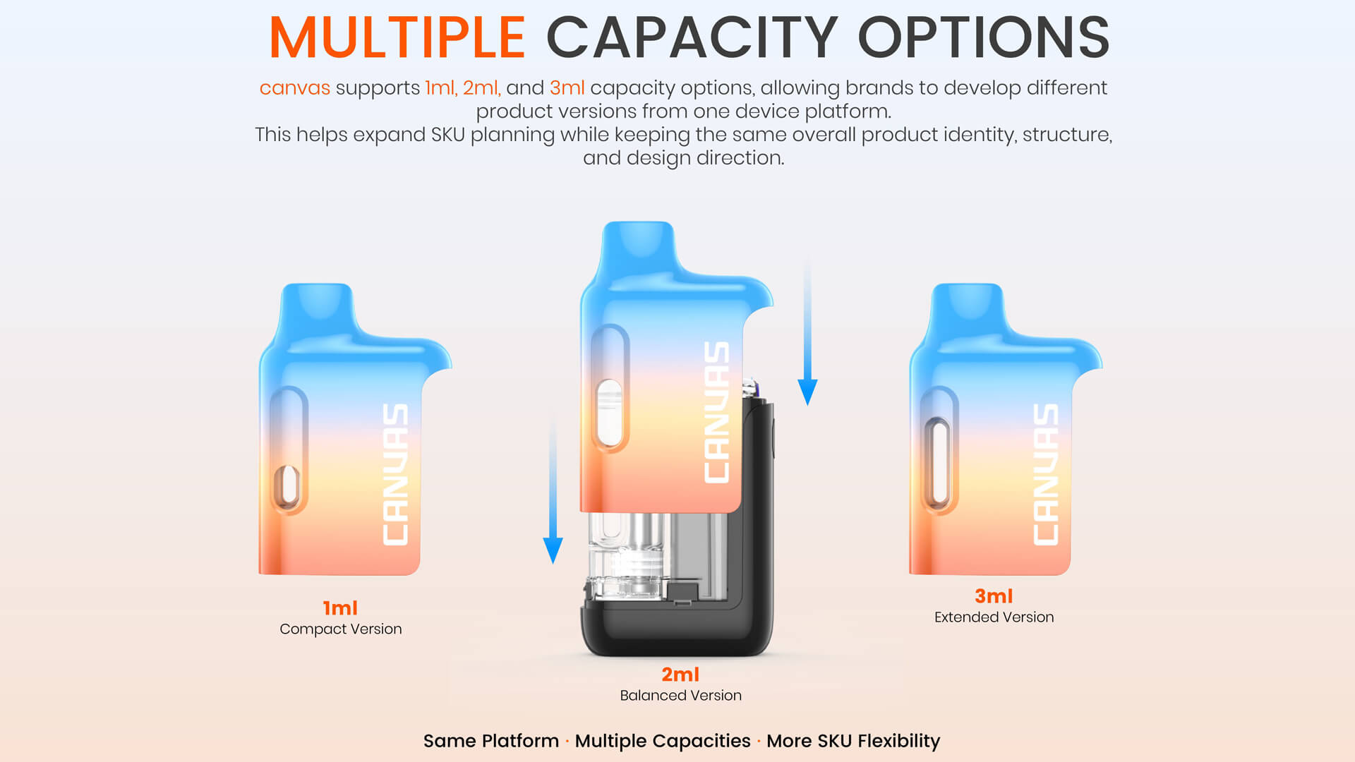 Disposable Vape Manufacturer AIO Canvas Hardware For CBD THC (3)